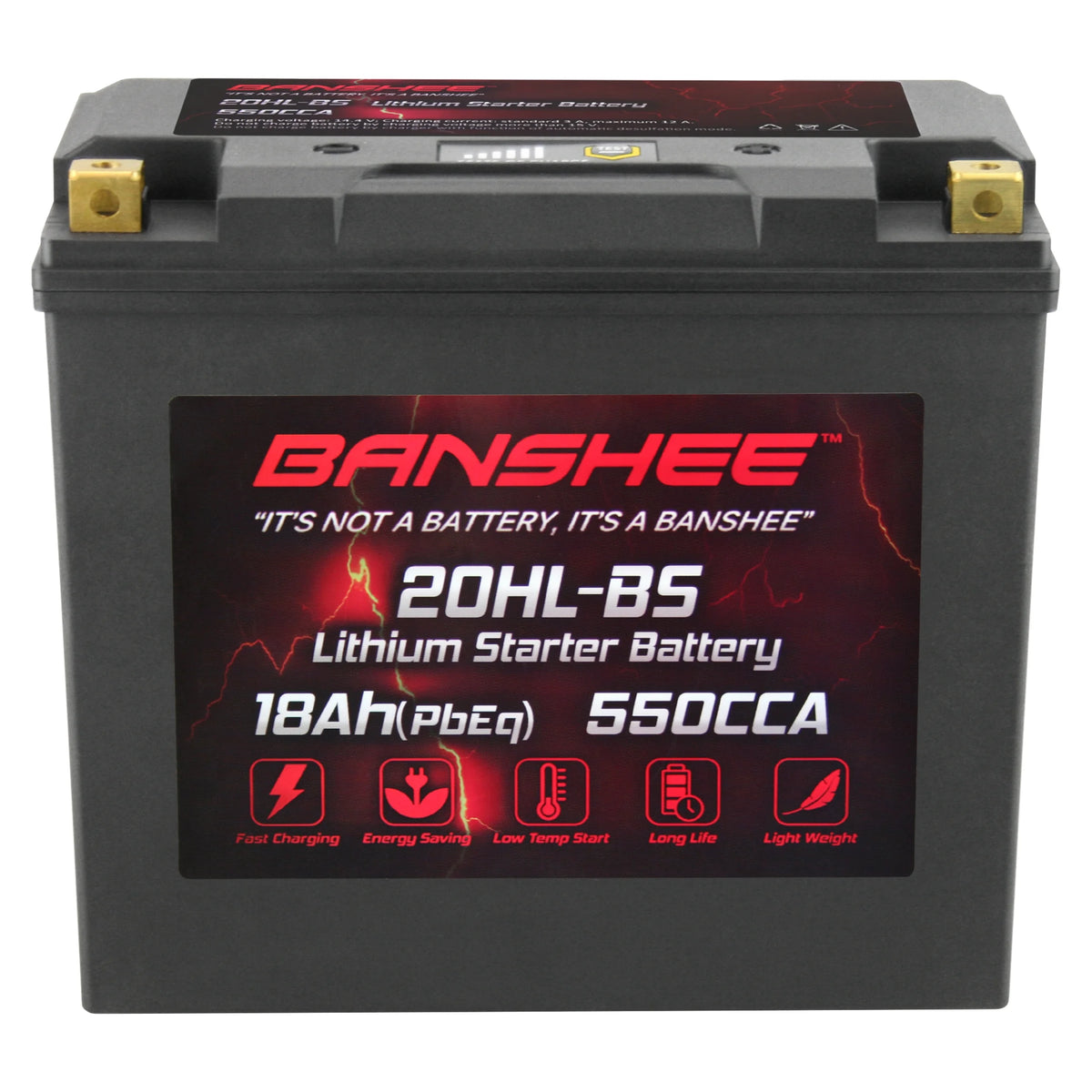 LiFePO4 Motorsports Battery U34344
