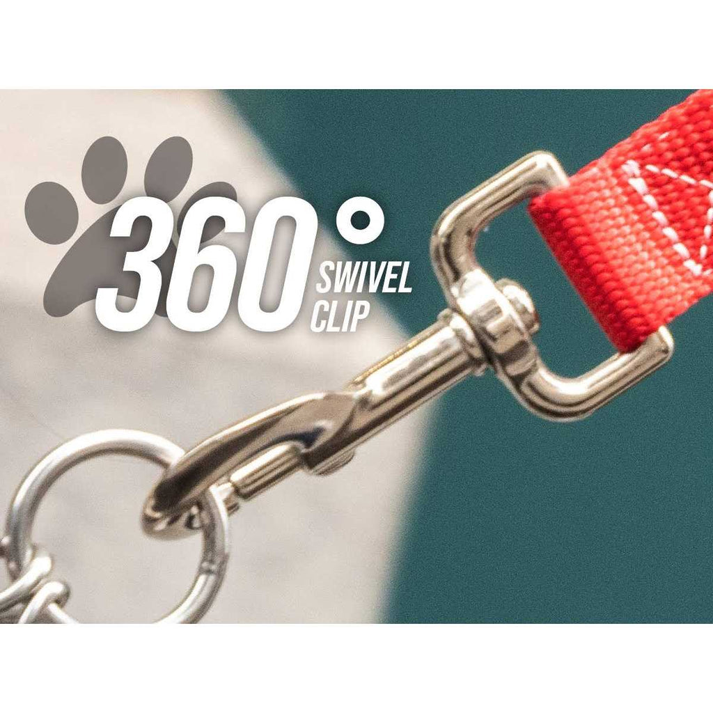 Short Dog Leash C15782