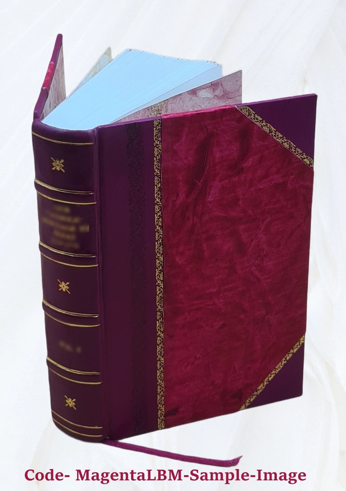 Leather Bound S4874