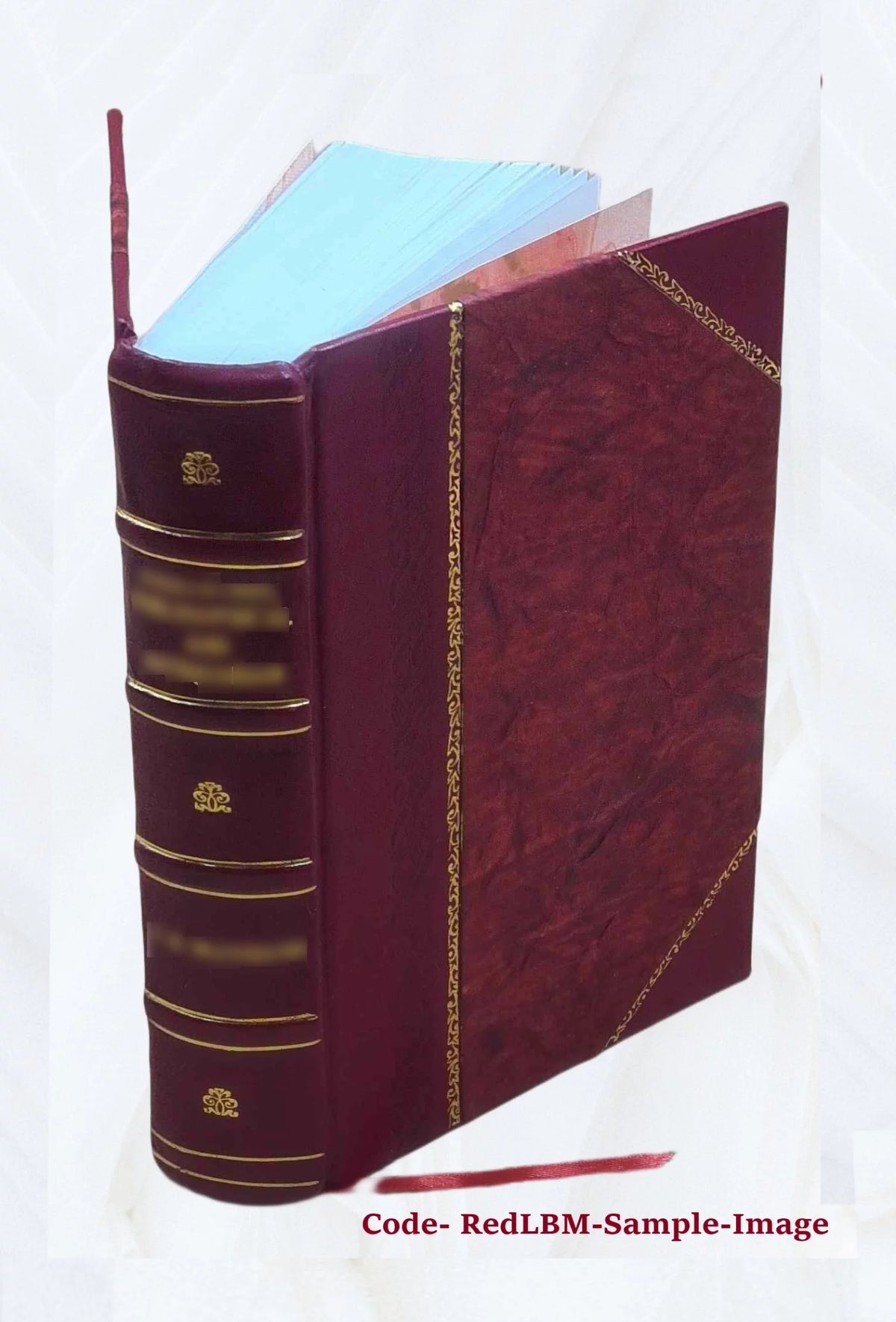 Leather Bound S4874