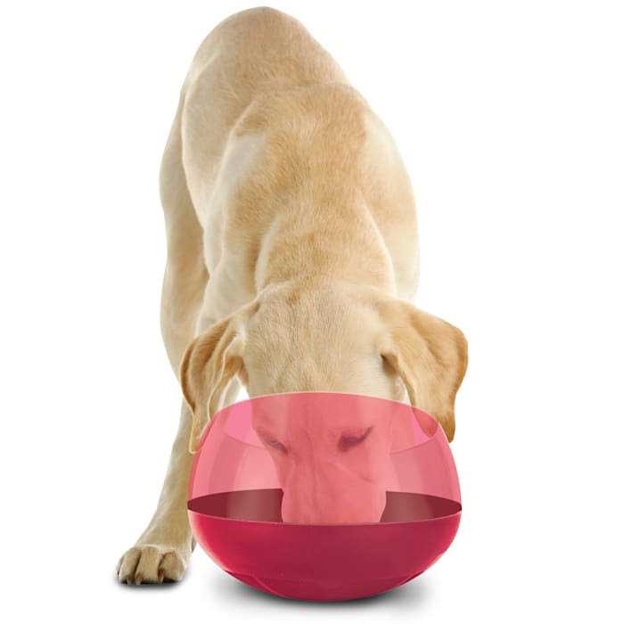 Burgundy Slow Feeder Dog Bowl O526184