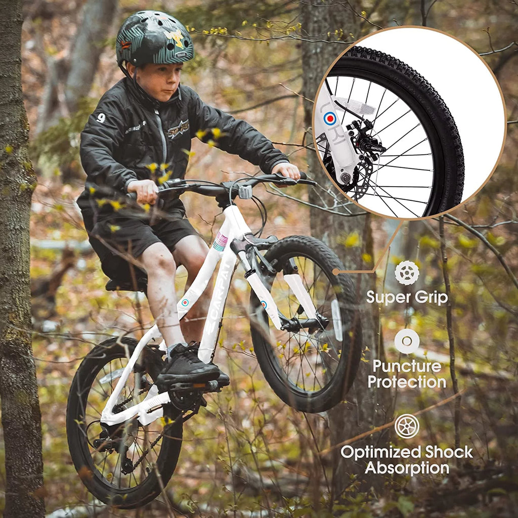 20 inch 7 Speed Kids Bicycle Y7690