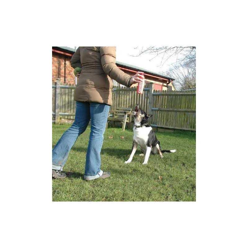 Pet Corrector W7953