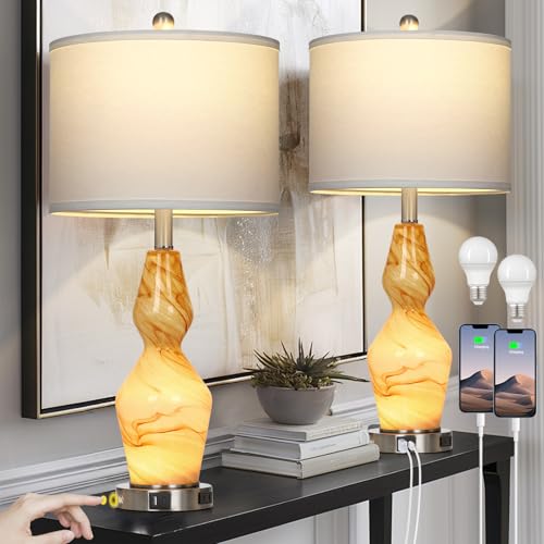 Glass Table Lamps Set of 2 with USB A+C Ports & AC Outlet N1031