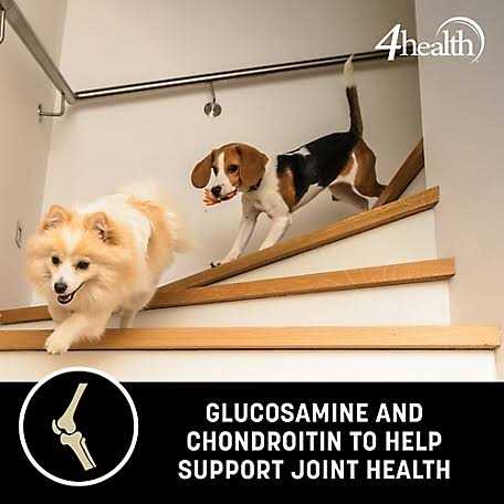 Adult Healthy Weight Chicken Formula Dry Dog Food E772498