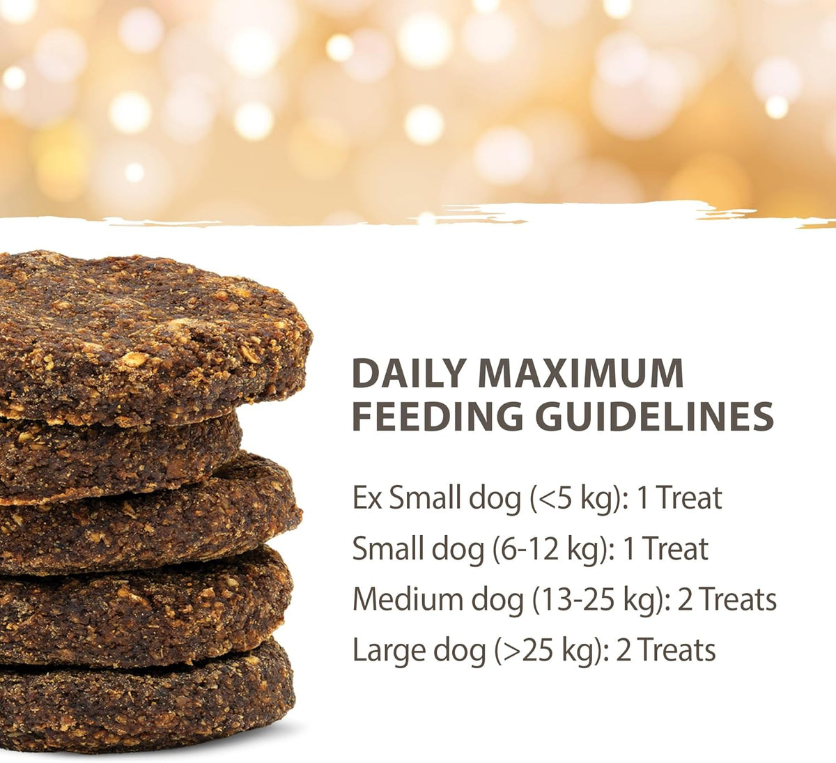 Protein Holiday Cookie Gingerbread & Lamb 270 GRAMS T452092