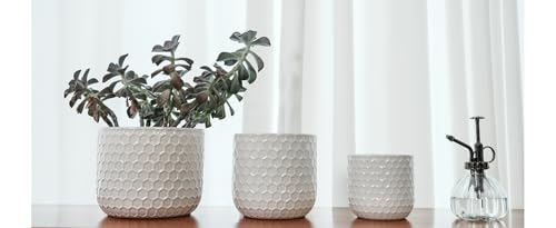 Ceramic Planters with Drainage Hole, Set of 3, Creamy-White H106