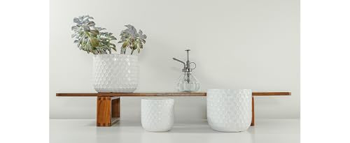 Ceramic Planters with Drainage Hole, Set of 3, Creamy-White H106