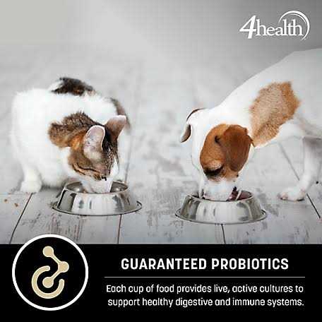Adult Healthy Weight Chicken Formula Dry Dog Food E772498