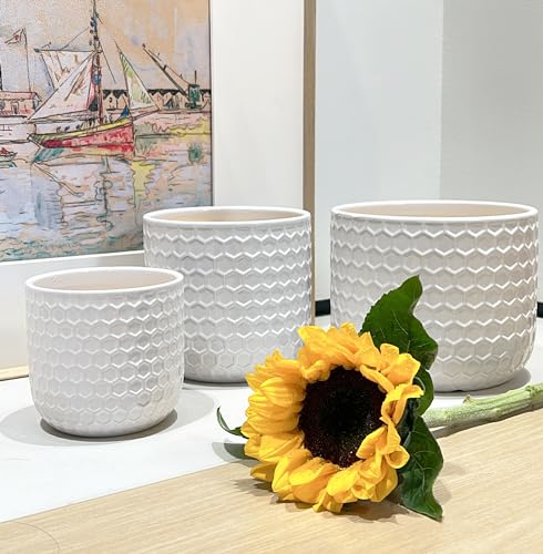 Ceramic Planters with Drainage Hole, Set of 3, Creamy-White H106