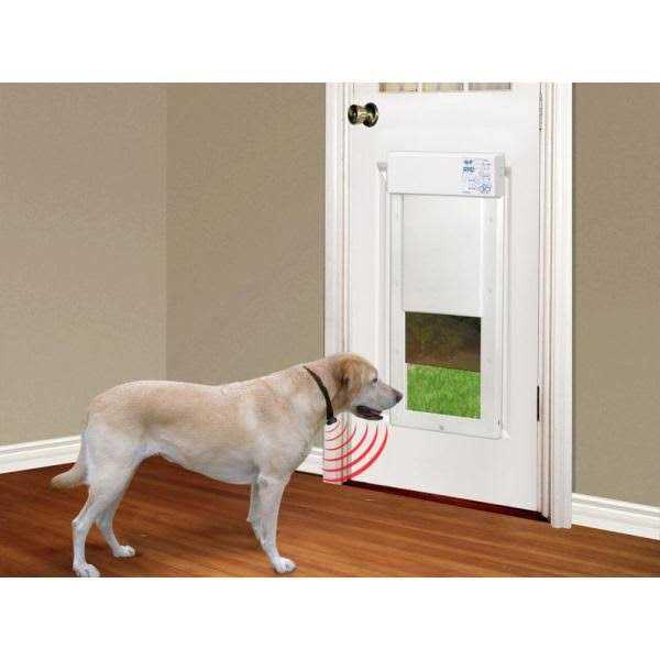 Motorized Pet Door X579