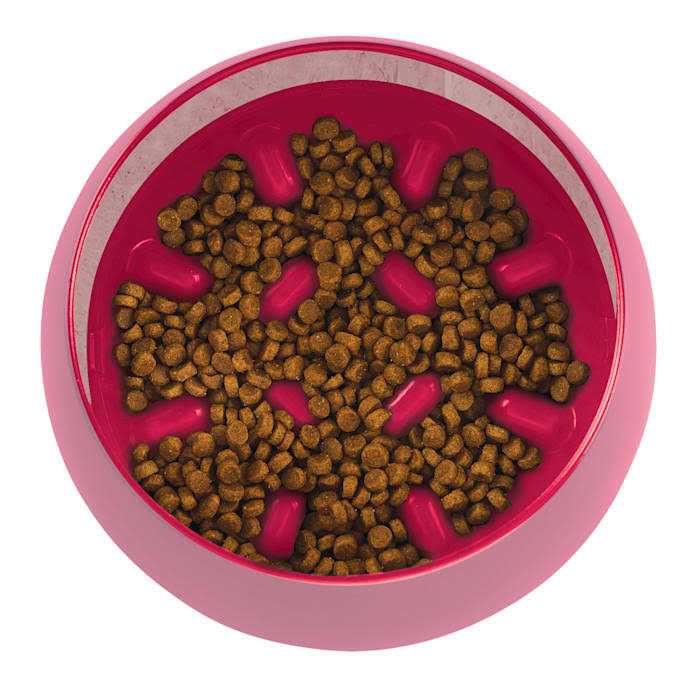 Burgundy Slow Feeder Dog Bowl O526184