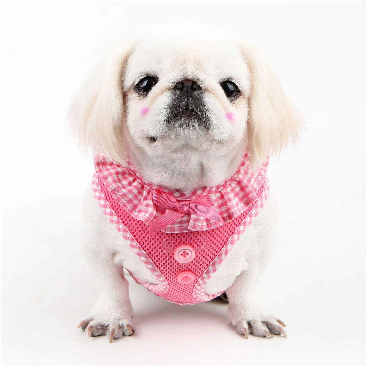 Pet Harness U14226