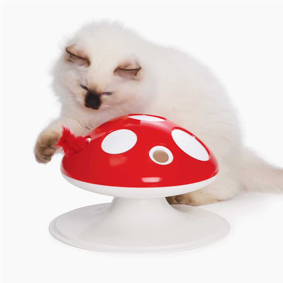 Interactive Cat Toy W641