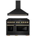 48 In. Gas Range and Range Hood in Black Stainless Steel I684