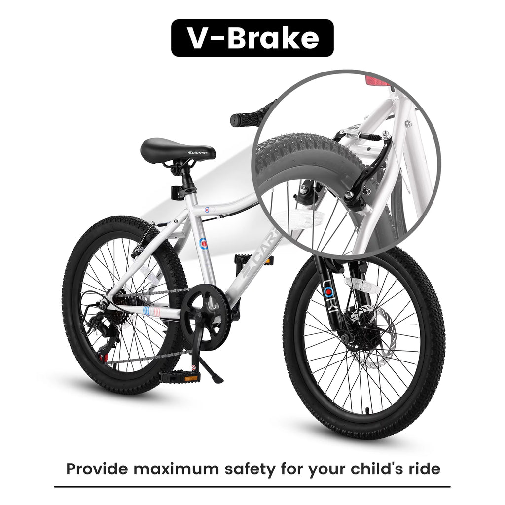 20 inch 7 Speed Kids Bicycle Y7690
