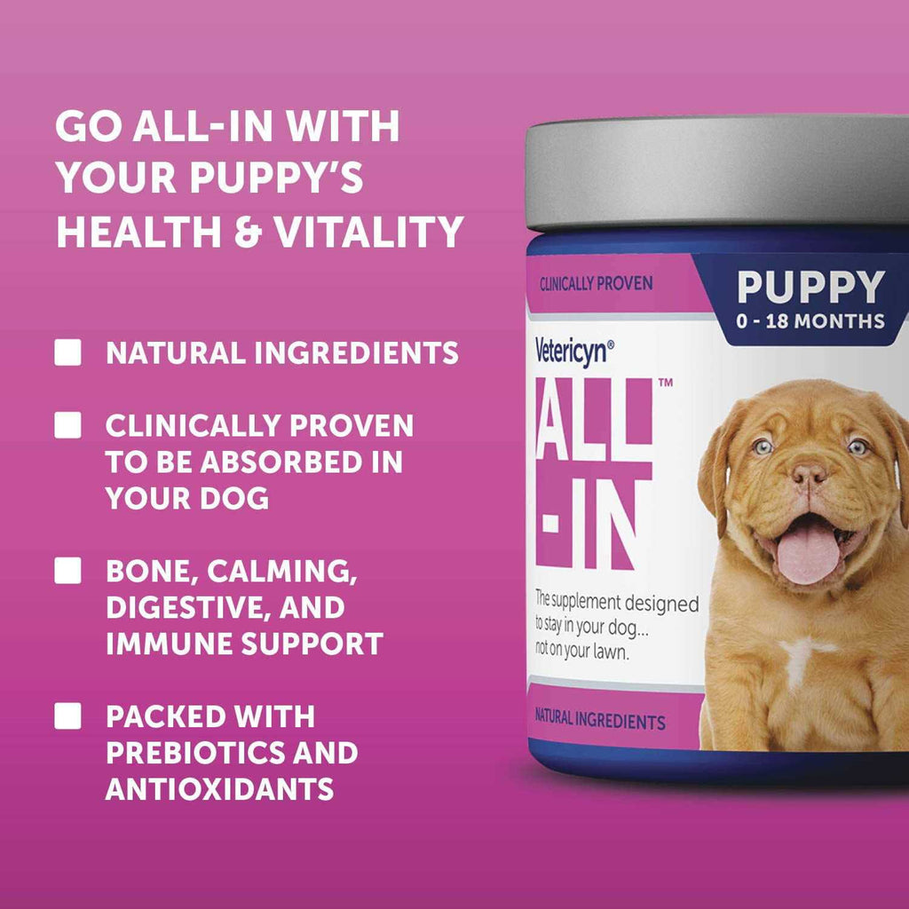 Puppy Supplement V895404