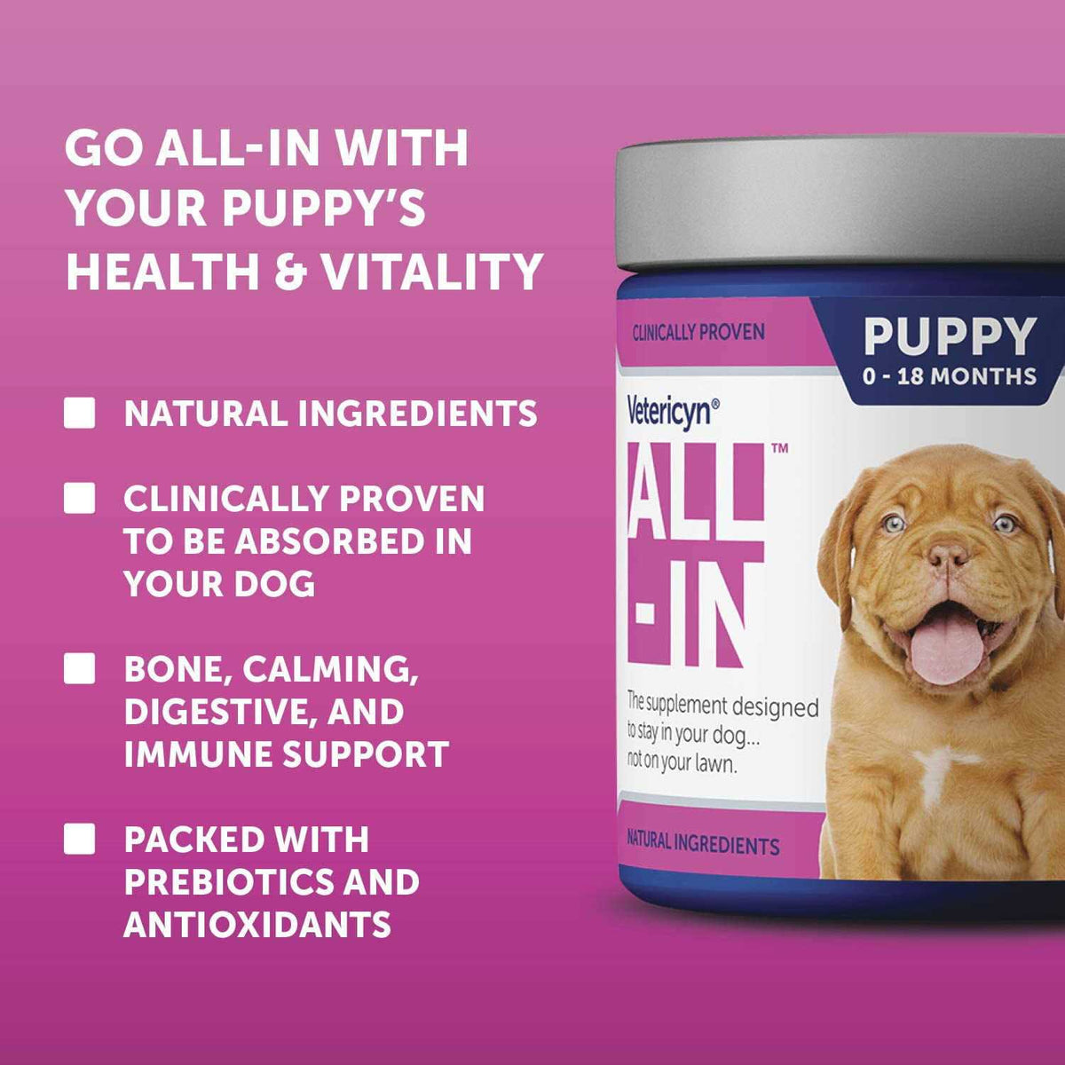 Puppy Supplement V895404