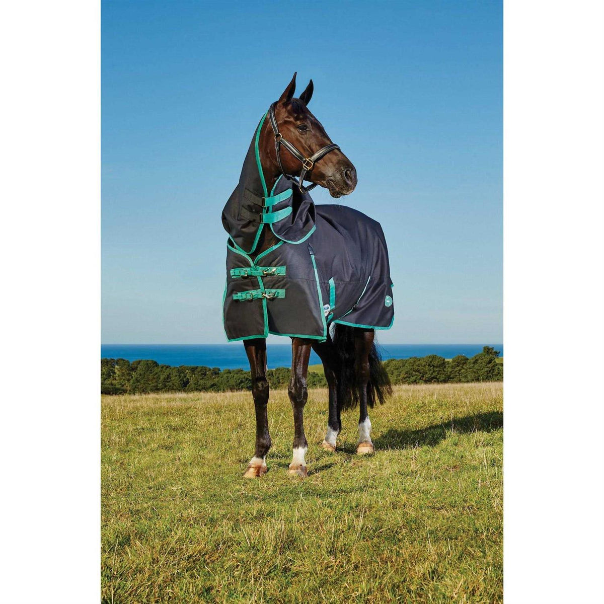 Dog Rear Leg Hock Joint Wrap Brace X38690