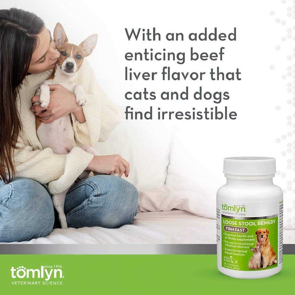 Loose Stool Remedy Supplement Tablet for Dogs and Cats I37626