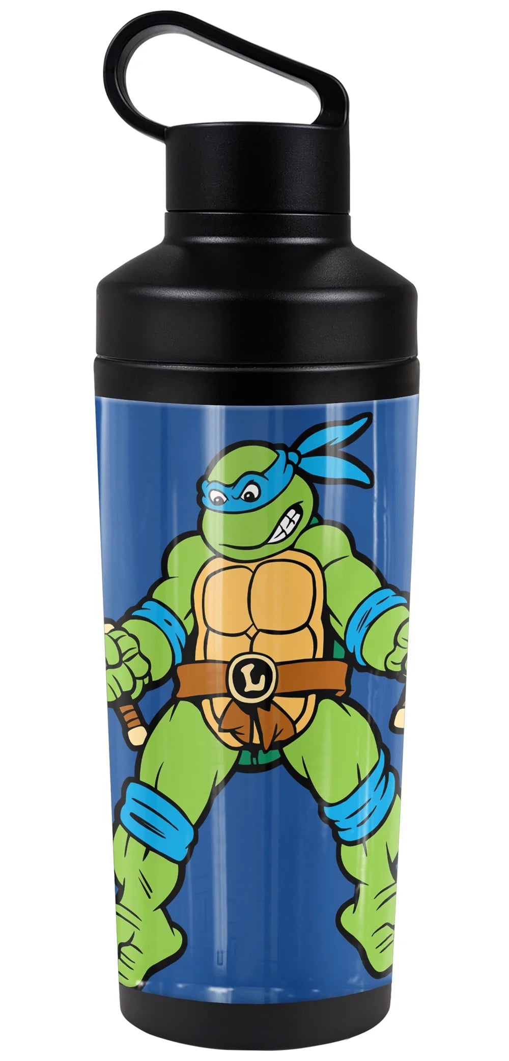 18 oz Vacuum Insulated Stainless Steel Water Bottle with 2-in-1 Loop Cap Q206307
