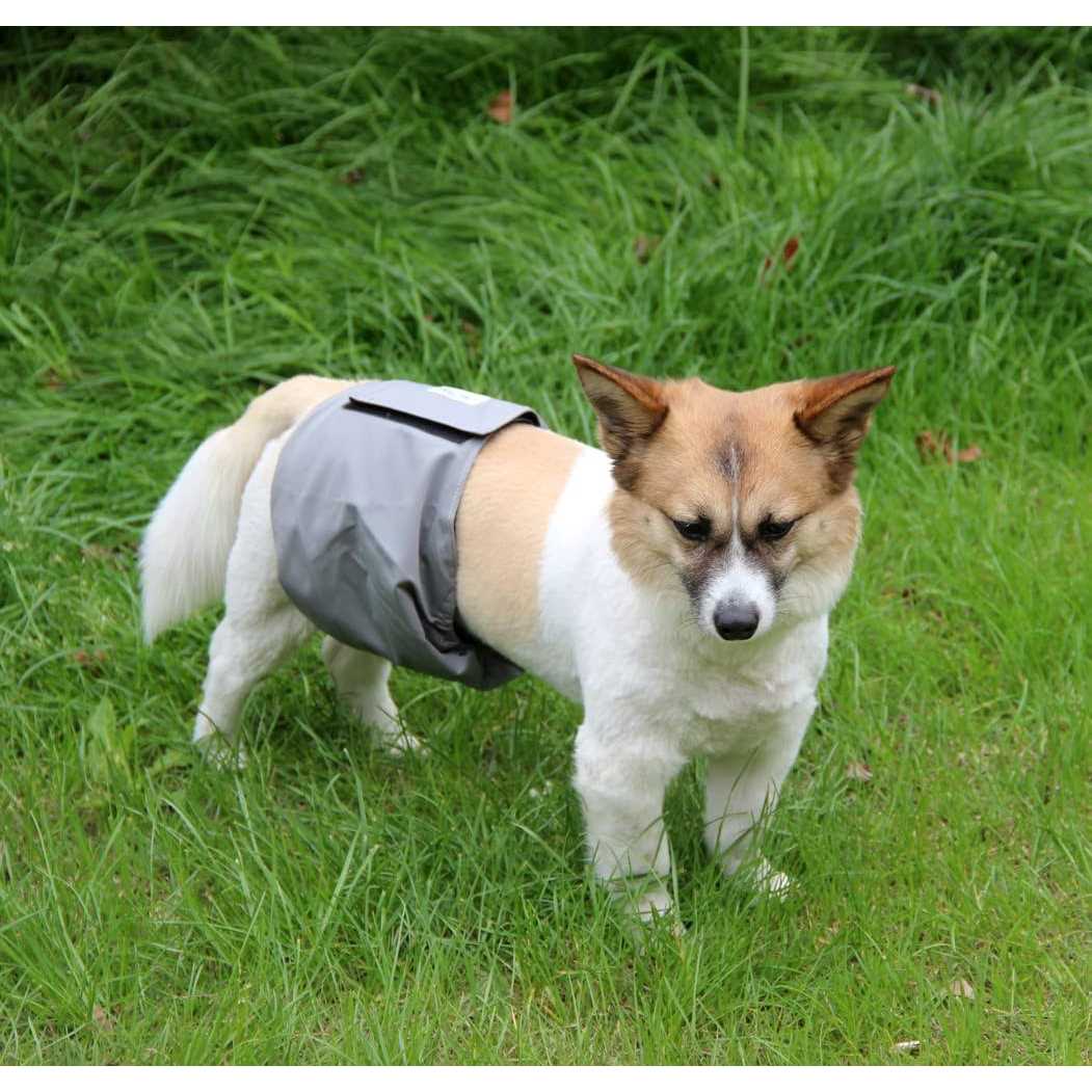 Reusable Washable Dog Diapers Male 5 Pack C793995