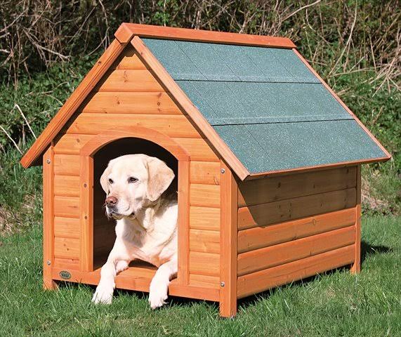 Large Dog House A681900