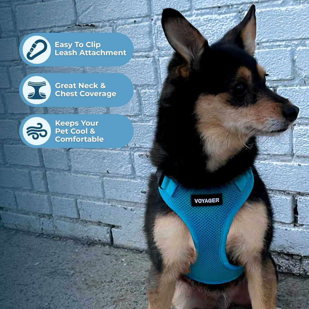 Adjustable Mesh Step-in Pet Harness G402920