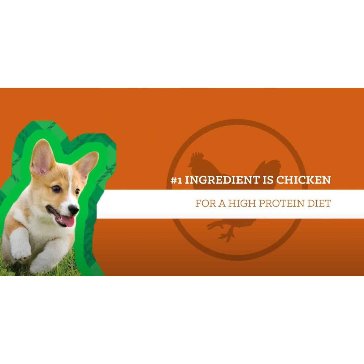 Chicken & Brown Rice Puppy O624995
