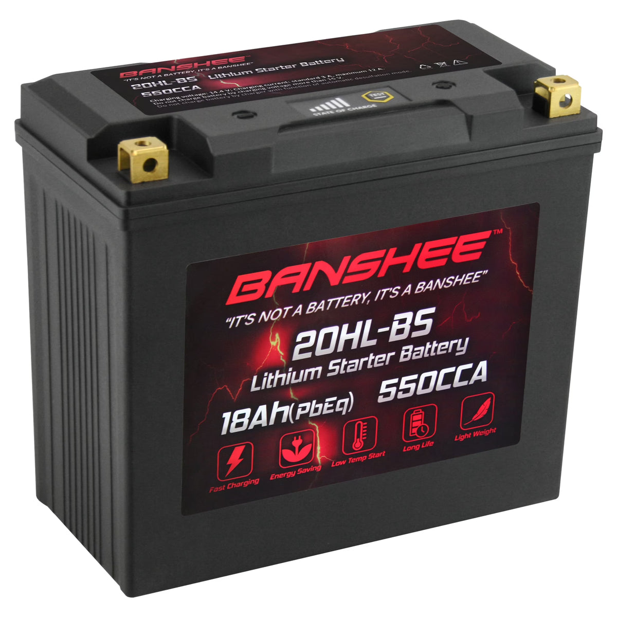 LiFePO4 Motorsports Battery U34344