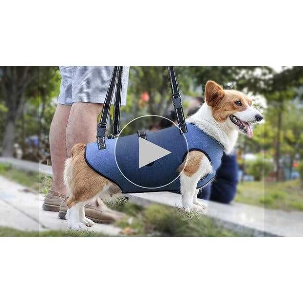 Adjustable Breathable Dog Lift Harness X548