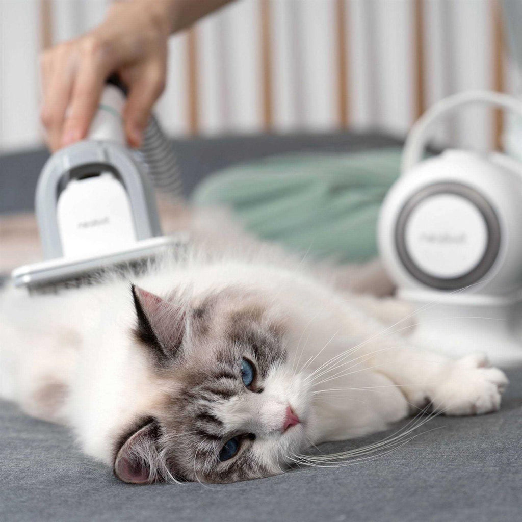 Pet Grooming Kit & Vacuum R27878