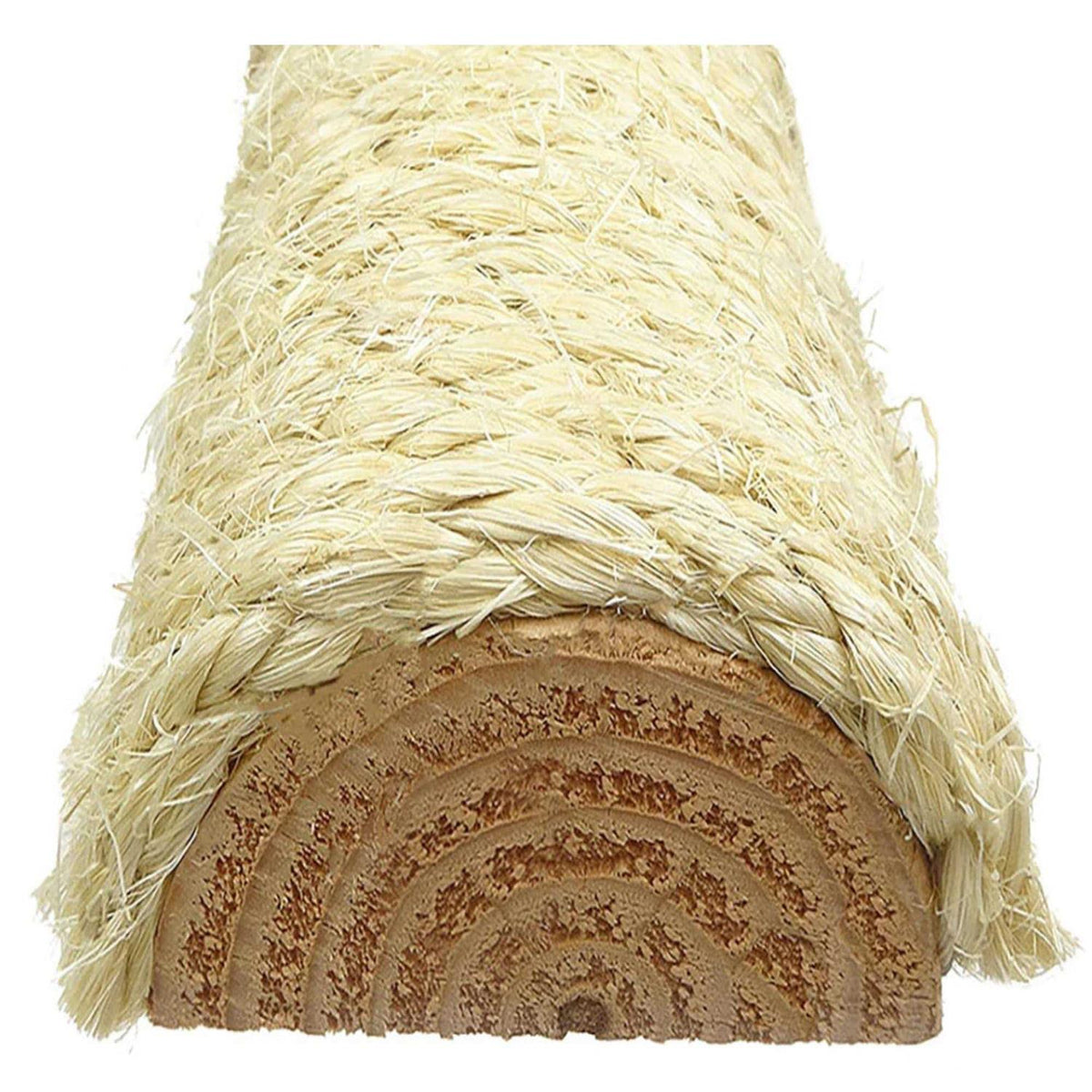 Large Cat House G701