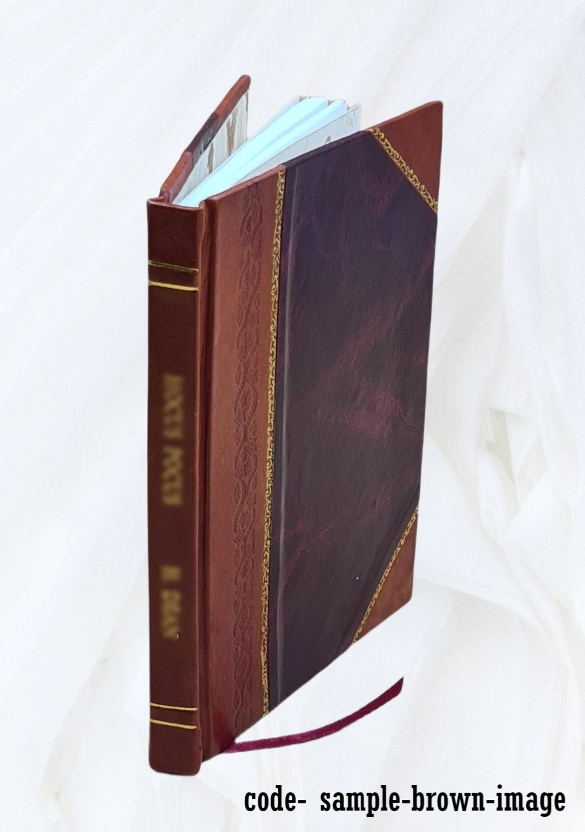 Leather Bound Book O3066