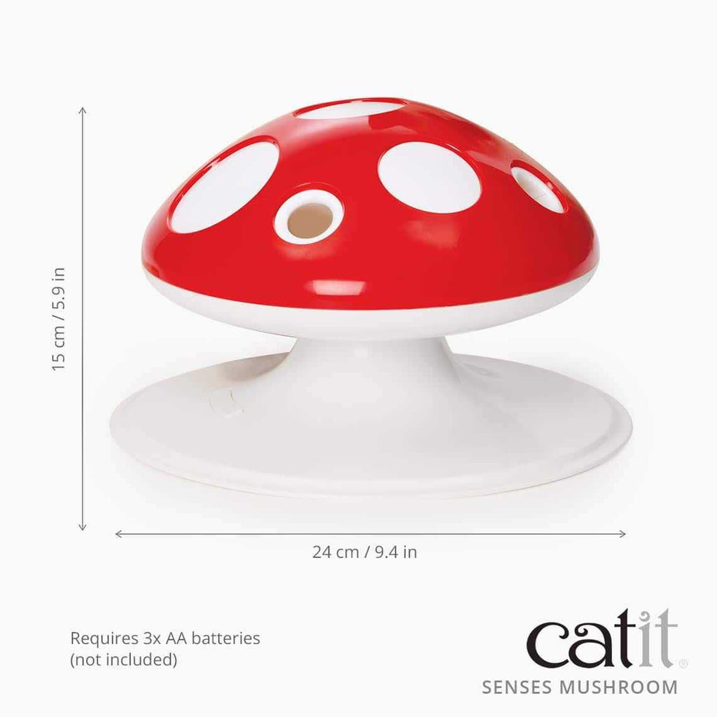 Interactive Cat Toy W641