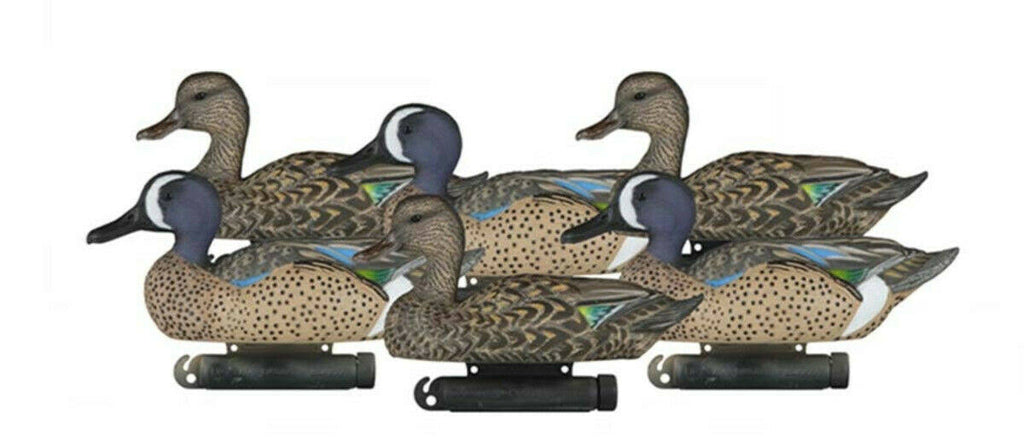 6 Pack Bluewing Teal Decoys G339