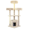 Large Cat House G701