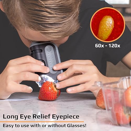 60x-120x LED Pocket Microscope Kit Z14647