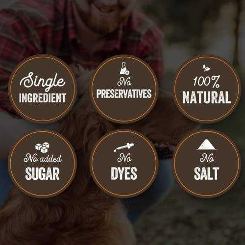 Sweet Potato Bones Dog V840
