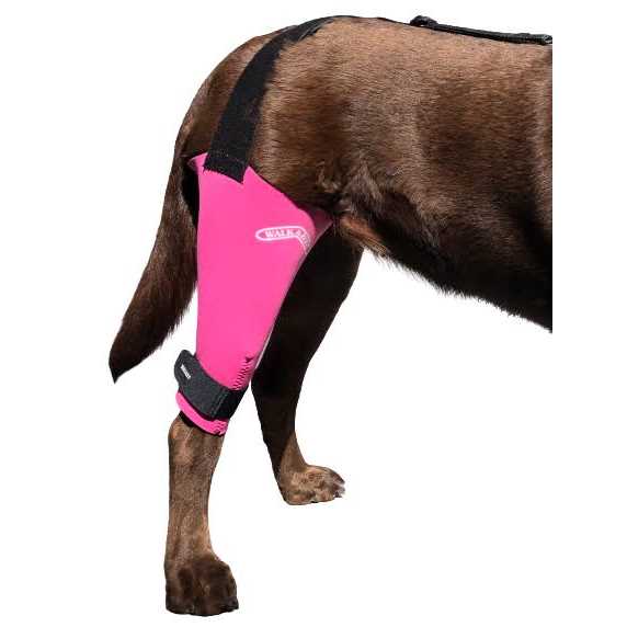 Dog & Cat Knee Brace B157674