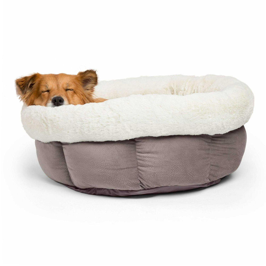 Dog Bed I679465
