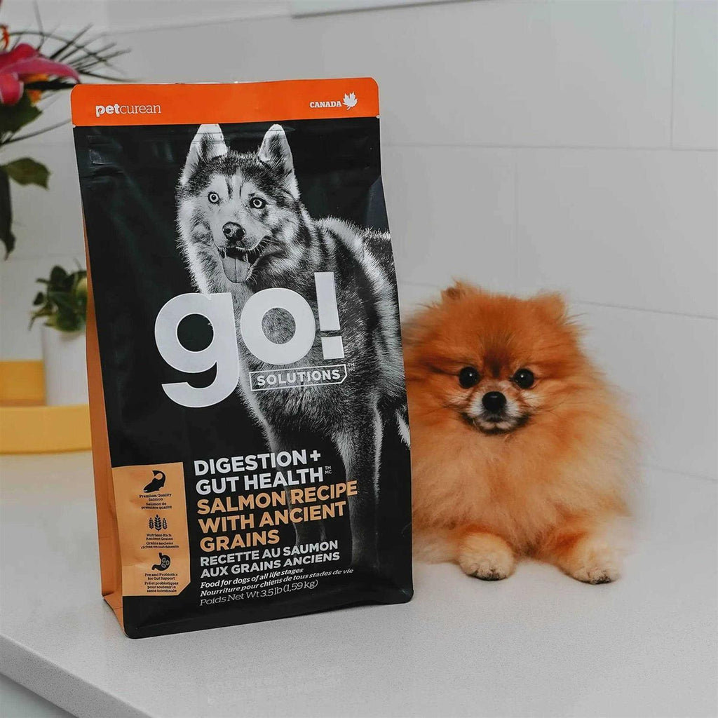 Salmon Recipe with Ancient Grains Dog Food N783807