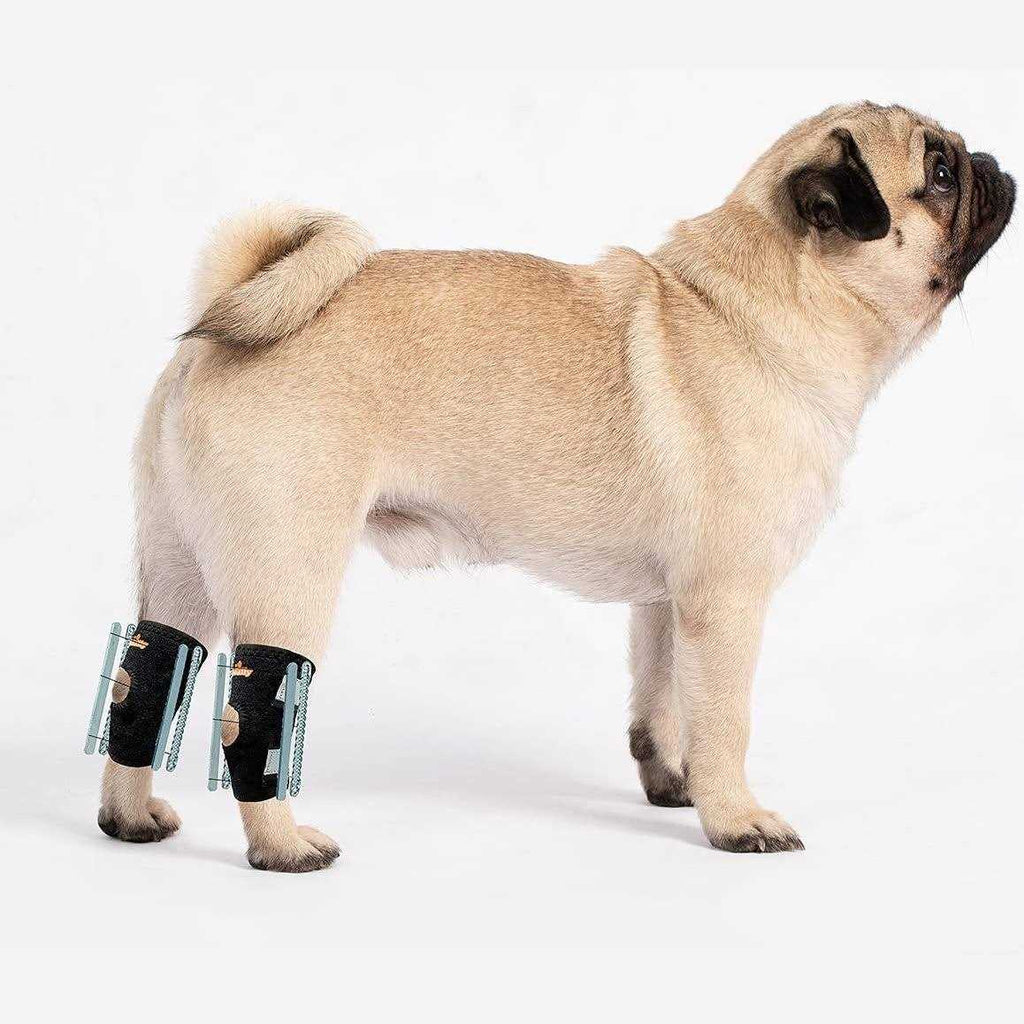 Short Rear Leg Support Small Dog Splint Braces H422