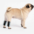 Short Rear Leg Support Small Dog Splint Braces H422