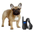 Shock Collar for Small Dogs with Remote N93125
